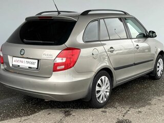 2010 Skoda Fabia II Рестайлинг, серый, 360000 рублей, вид 5