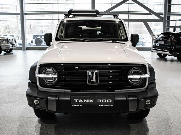 2026 Tank 300 I, белый - вид 13