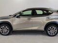 2016 Lexus NX 200 I, серый, 2660000 рублей - вид 8