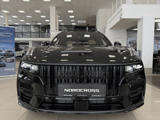 2025 Nordcross 001, чёрный, 7130000 рублей, вид 2