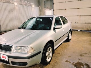 2002 Skoda Octavia I (A4) Рестайлинг, серебристый, 390000 рублей, вид 1