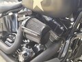 2015 Harley-Davidson Softail Slim, зелёный - вид 10