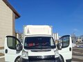 2012 Fiat Professional Ducato, белый, 1430000 рублей - вид 2