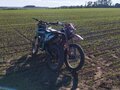 2023 Motoland XT300, зелёный, 130000 рублей - вид 7