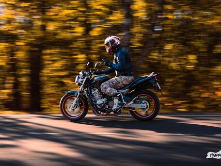 2004 Honda CB 600F Hornet, чёрный, 320000 рублей, вид 4