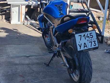 2009 Kawasaki ER-6N, синий, 350000 рублей, вид 4
