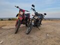 2025 Racer Trophy, серый, 70000 рублей