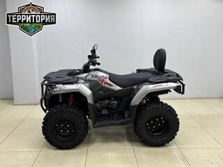 2026 Loncin XWolf 300 Max, серый, 485000 рублей, вид 4