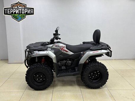 2026 Loncin XWolf 300 Max, серый, 485000 рублей, вид 4