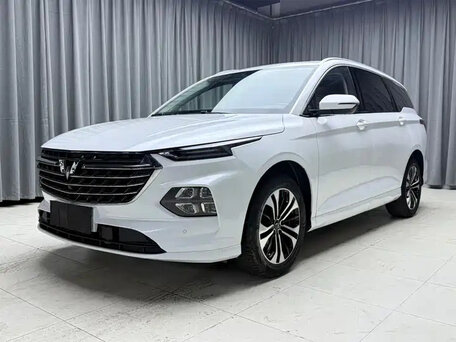Wuling Victory