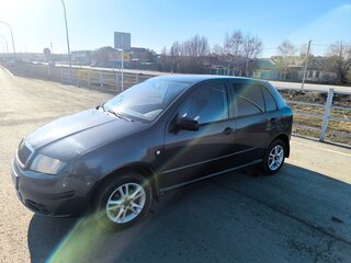 2005 Skoda Fabia I Рестайлинг, серый, 300000 рублей, вид 3