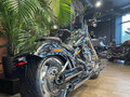 2025 Harley-Davidson Fat Boy, серебристый, 6000000 рублей - вид 8