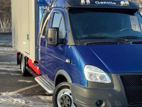 2009 ГАЗ ГАЗель (33023/330273) Фермер, синий, 1750000 рублей, вид 3