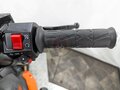 2026 Regulmoto T-Leopard 300, красный - вид 10