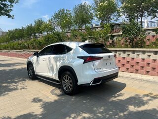 2021 Lexus NX 200 I Рестайлинг, белый, 2540000 рублей, вид 4