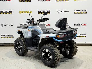 2026 Motoland ATV 300 MAX X, серебристый, 449000 рублей, вид 3