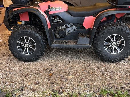 2019 Stels ATV-600YL Леопард, красный, 450000 рублей, вид 5
