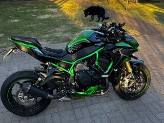 2021 Kawasaki Z H2, зелёный, 1900000 рублей, вид 1