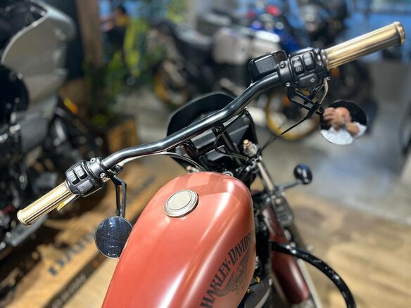 2017 Harley-Davidson Sportster 883, коричневый, 1450000 рублей - вид 6