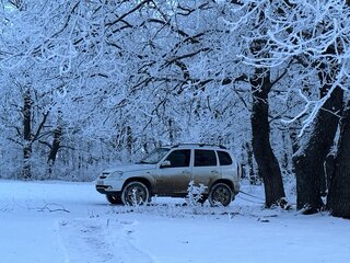 2013 Chevrolet Niva I Рестайлинг, белый, 515000 рублей, вид 2