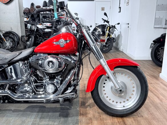 2010 Harley-Davidson Fat Boy, красный, 1099000 рублей - вид 11