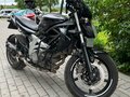 2012 Suzuki SFV 650 Gladius, чёрный, 380000 рублей - вид 6