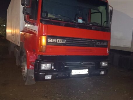 1996 DAF CF 85, красный, 1400000 рублей, вид 3