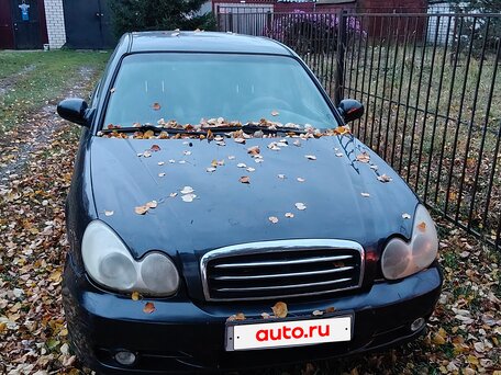 2006 Hyundai Sonata ТагАЗ IV (EF) Рестайлинг, чёрный, 240000 рублей, вид 2