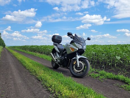 2004 Honda CBF 600, серебристый, 450000 рублей, вид 3