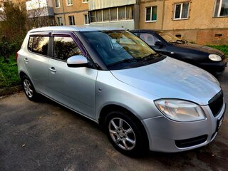2008 Skoda Fabia II, серебристый, 262000 рублей, вид 3