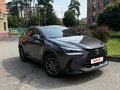2022 Lexus NX 250 II, серый - вид 1
