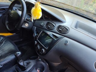2004 Ford Focus I Рестайлинг, серебристый, 340000 рублей, вид 4