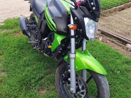 2023 Motoland Bandit 250, зелёный, 115000 рублей, вид 1