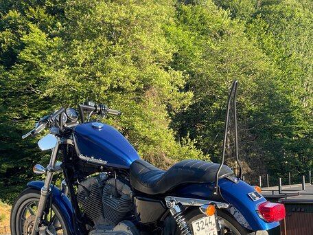 2008 Harley-Davidson Sportster 883, синий, 520000 рублей, вид 3