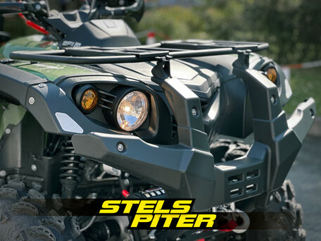 2023 Stels ATV-650YL Leopard, зелёный, 619000 рублей, вид 3