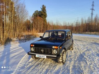 2010 Lada (ВАЗ) 2131 (4x4) Рысь I, серый, 400000 рублей, вид 4