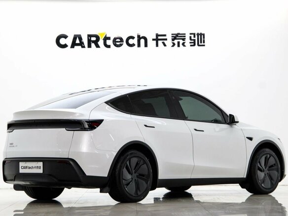 2025 Tesla Model Y Long Range I Рестайлинг, белый, 8000000 рублей - вид 1