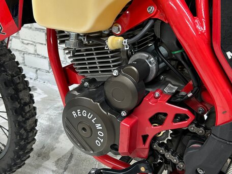 2024 Regulmoto Holeshot, красный, 229990 рублей, вид 5