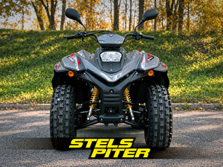 2026 Stels ATV-200 Леопард, серый, 260000 рублей, вид 2
