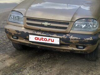 2004 Chevrolet Niva I, бежевый, 230000 рублей, вид 2