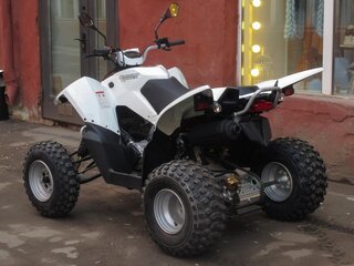 2026 Sym QuadRaider, белый, 233000 рублей, вид 4
