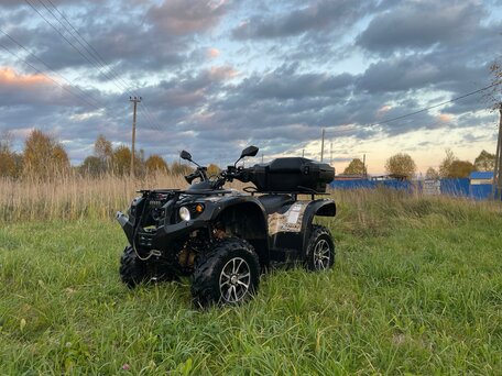 2020 Stels ATV-600YL Леопард, серый, 355000 рублей, вид 1