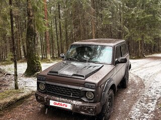 2010 Lada (ВАЗ) 2121 (4x4) I Рестайлинг, коричневый, 600000 рублей, вид 5
