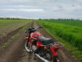 1987 CZ 350, красный, 150000 рублей - вид 2