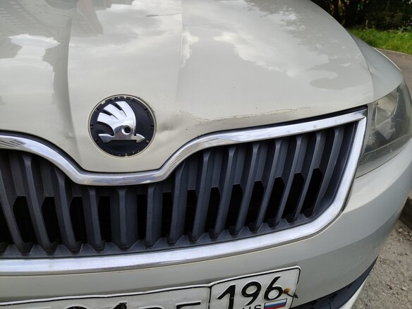 2014 Skoda Rapid I, серый, 615000 рублей - вид 9
