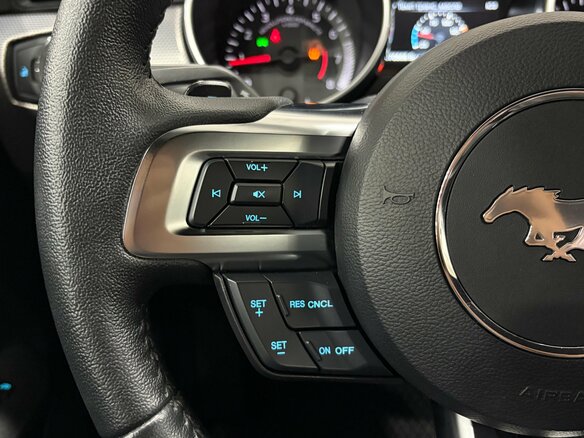 2019 Ford Mustang VI Рестайлинг, серый, 2090000 рублей - вид 12