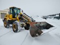 2023 Bull SL300, жёлтый, 2645500 рублей - вид 1