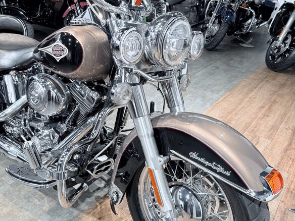 2004 Harley-Davidson Heritage, бежевый, 999000 рублей - вид 10