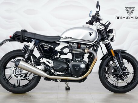 2025 Triumph Speed Twin, серебристый, 1449000 рублей, вид 1