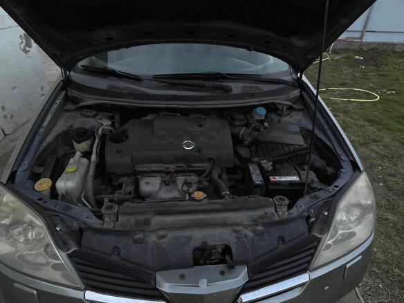 2005 Nissan Primera III (P12), серый, 470000 рублей - вид 8